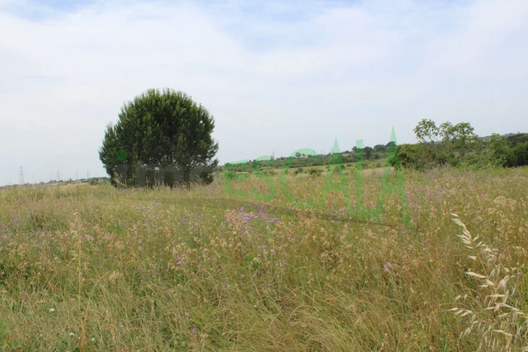Terreno Agricola ou Rústico para Venda em Cartaxo e Vale da Pinta Foto 16