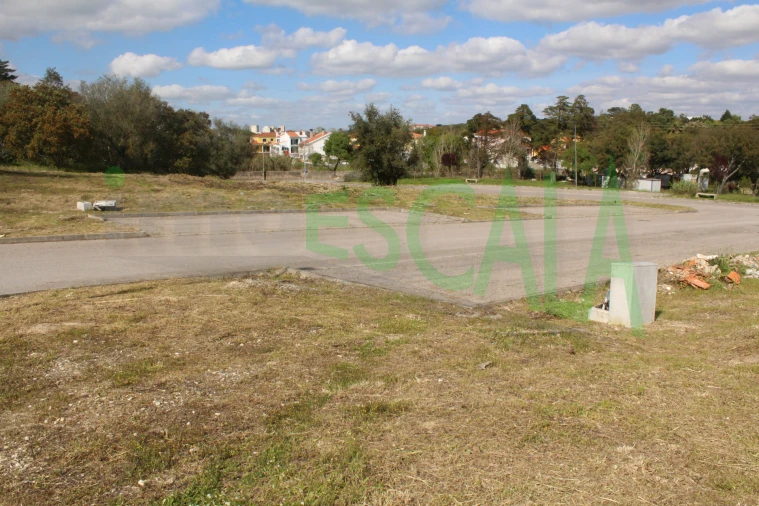 Terreno para Venda em Cartaxo e Vale da Pinta Foto 10