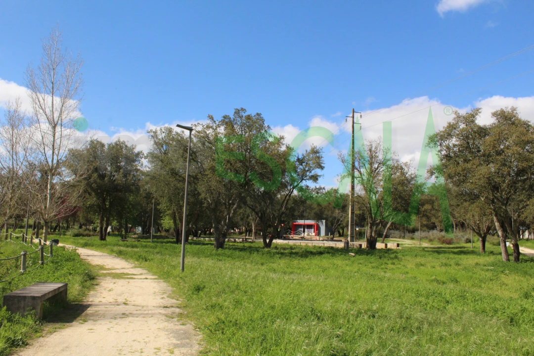 Terreno para Venda em Cartaxo e Vale da Pinta Foto 22