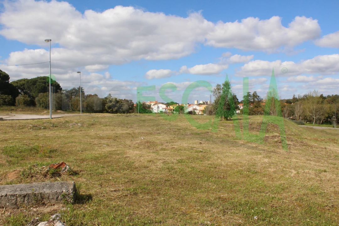 Terreno para Venda em Cartaxo e Vale da Pinta Foto 13