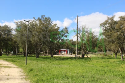 Terreno para Venda em Cartaxo e Vale da Pinta