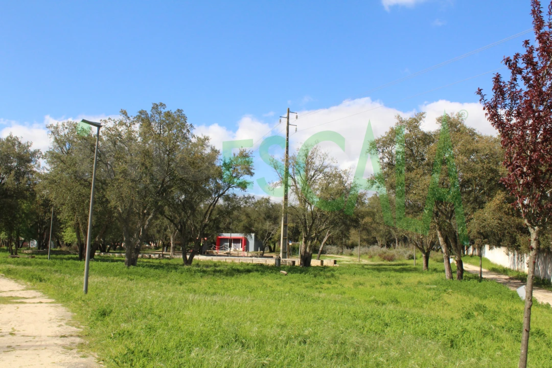 Terreno para Venda em Cartaxo e Vale da Pinta Foto 22