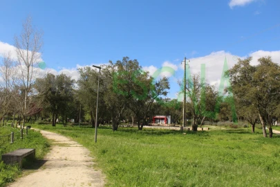 Terreno para Venda em Cartaxo e Vale da Pinta