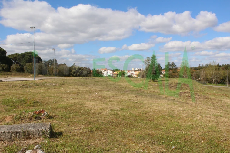 Terreno para Venda em Cartaxo e Vale da Pinta Foto 15
