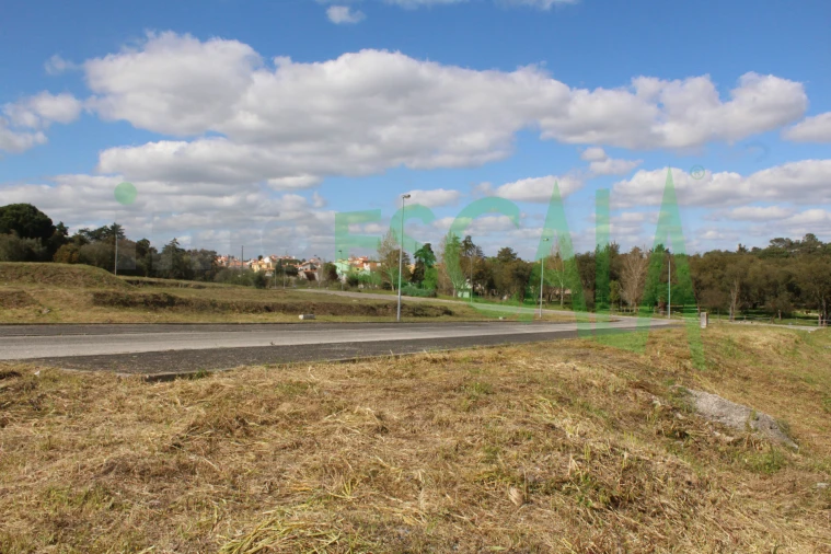 Terreno para Venda em Cartaxo e Vale da Pinta Foto 14