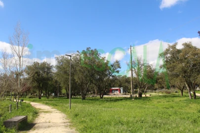 Terreno para Venda em Cartaxo e Vale da Pinta