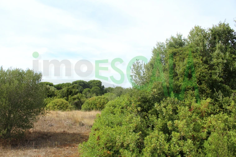 Terreno Agricola ou Rústico para Venda em Vila Chã de Ourique
