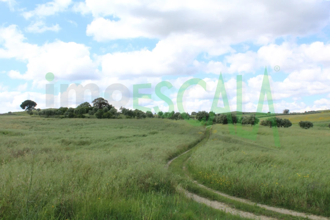 Terreno para Venda em Romeira e Várzea Foto 1