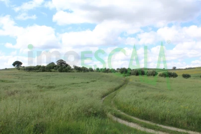 Terreno para Venda em Romeira e Várzea