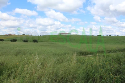Terreno para Venda em Romeira e Várzea