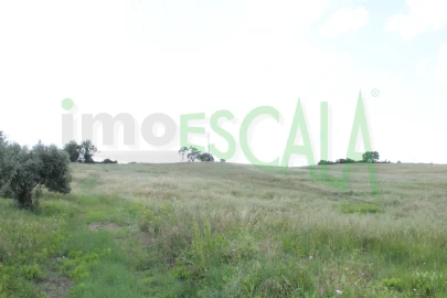 Terreno para Venda em Romeira e Várzea
