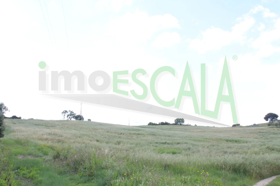 Terreno para Venda em Romeira e Várzea Foto 3