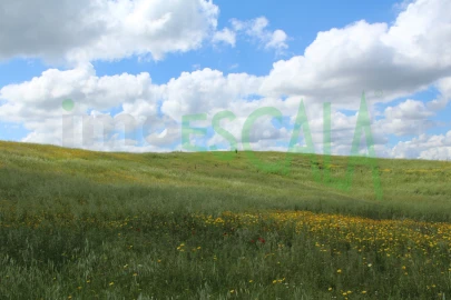 Terreno para Venda em Romeira e Várzea