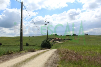 Terreno para Venda em Romeira e Várzea