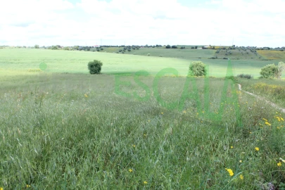 Terreno para Venda em Romeira e Várzea