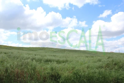 Terreno para Venda em Romeira e Várzea