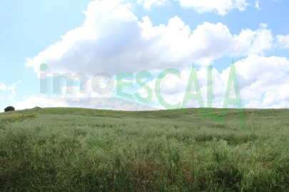 Terreno para Venda em Romeira e Várzea