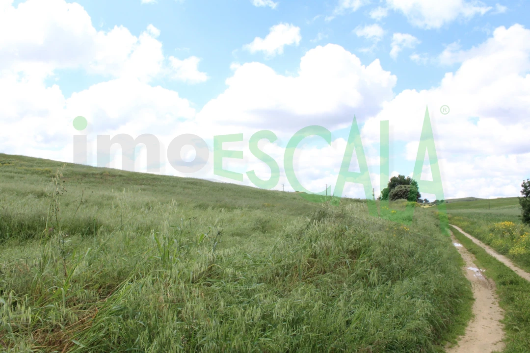 Terreno para Venda em Romeira e Várzea Foto 1