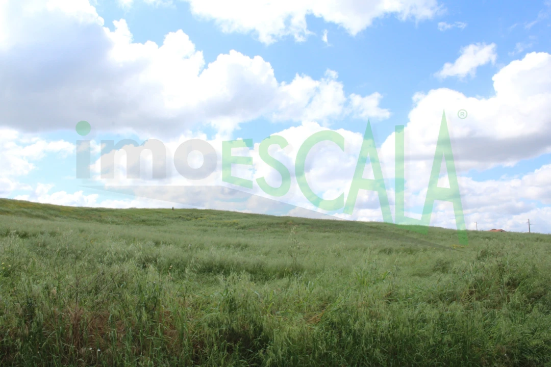 Terreno para Venda em Romeira e Várzea Foto 3