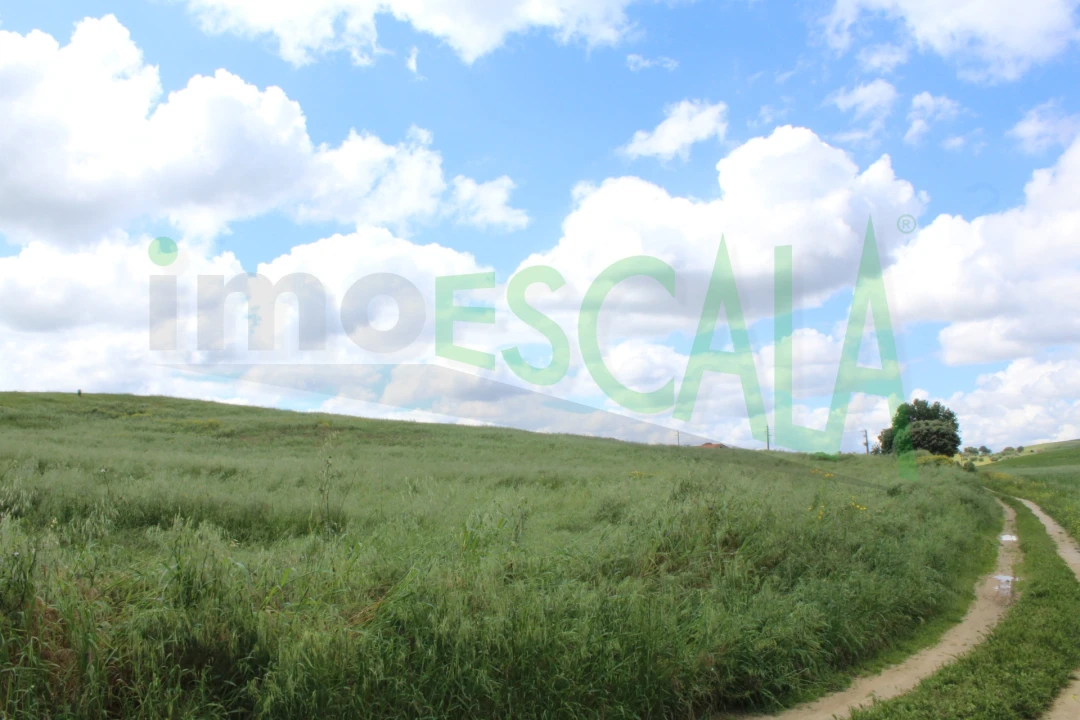 Terreno para Venda em Romeira e Várzea Foto 4