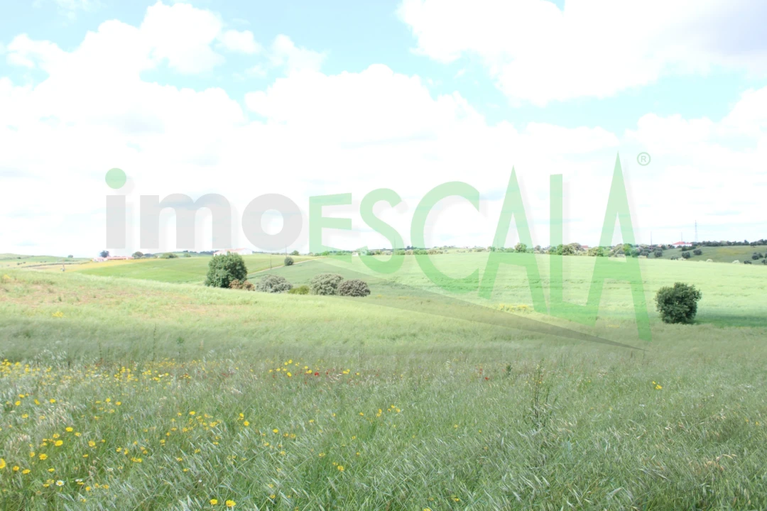 Terreno para Venda em Romeira e Várzea Foto 7