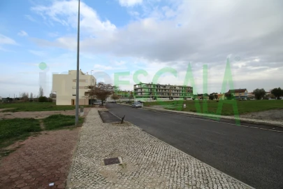 Terreno para Venda em Cartaxo e Vale da Pinta