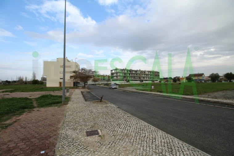 Terreno para Venda em Cartaxo e Vale da Pinta Foto 34