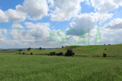 Terreno para Venda em Romeira e Várzea