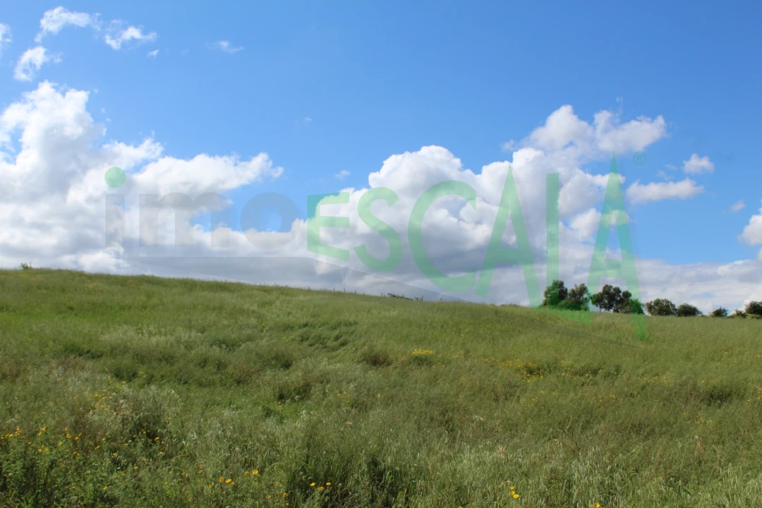 Terreno para Venda em Romeira e Várzea Foto 9