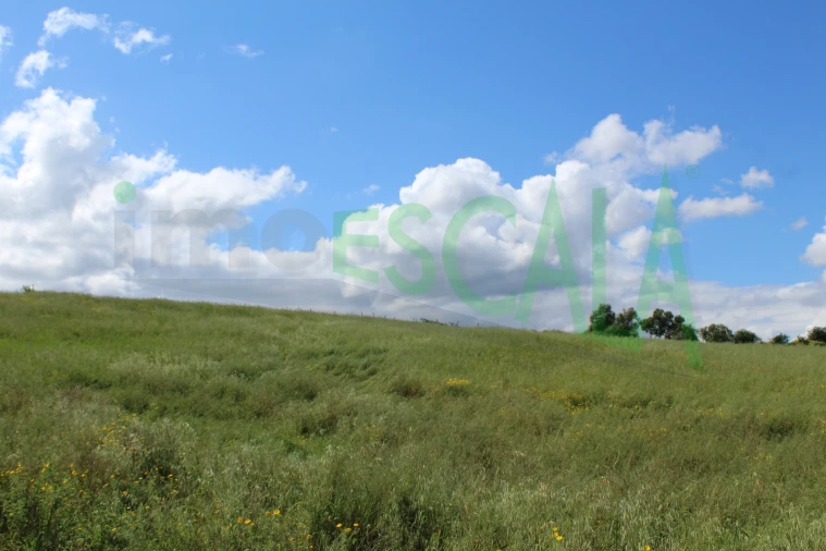 Terreno para Venda em Romeira e Várzea Foto 9