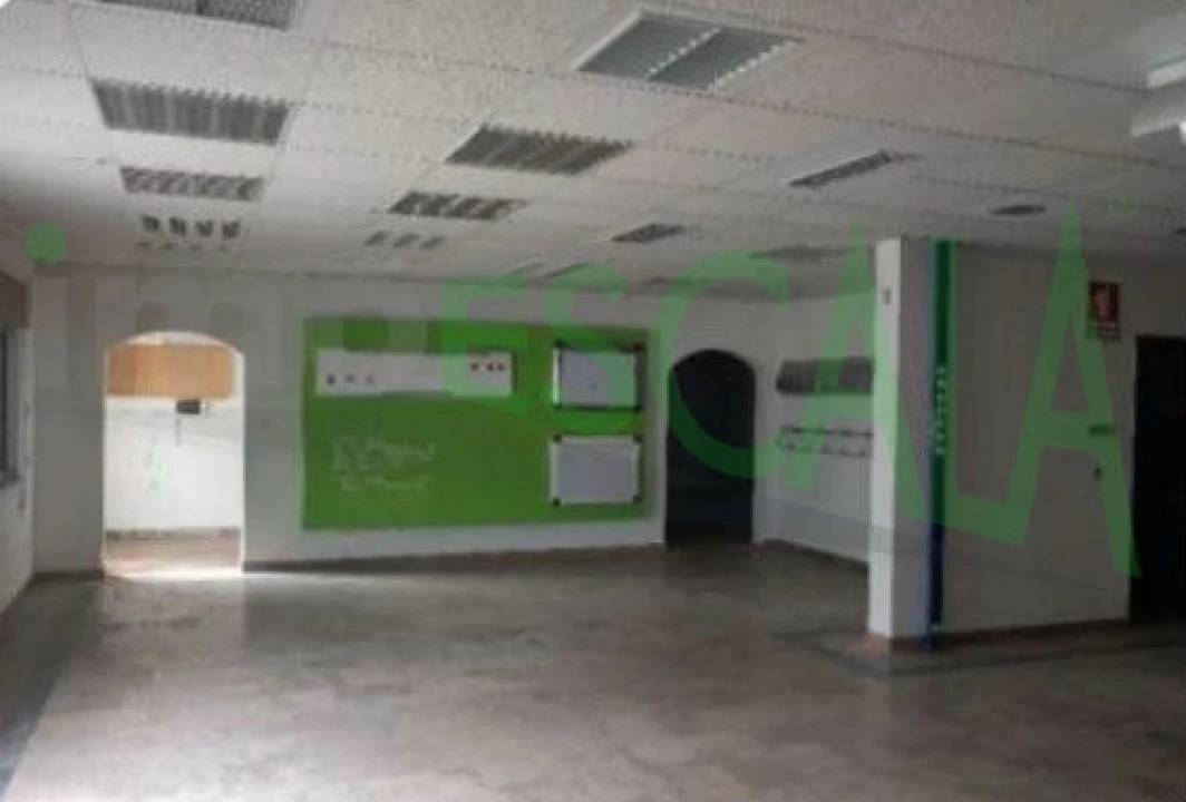 Armazém para Venda em Muge Foto 19