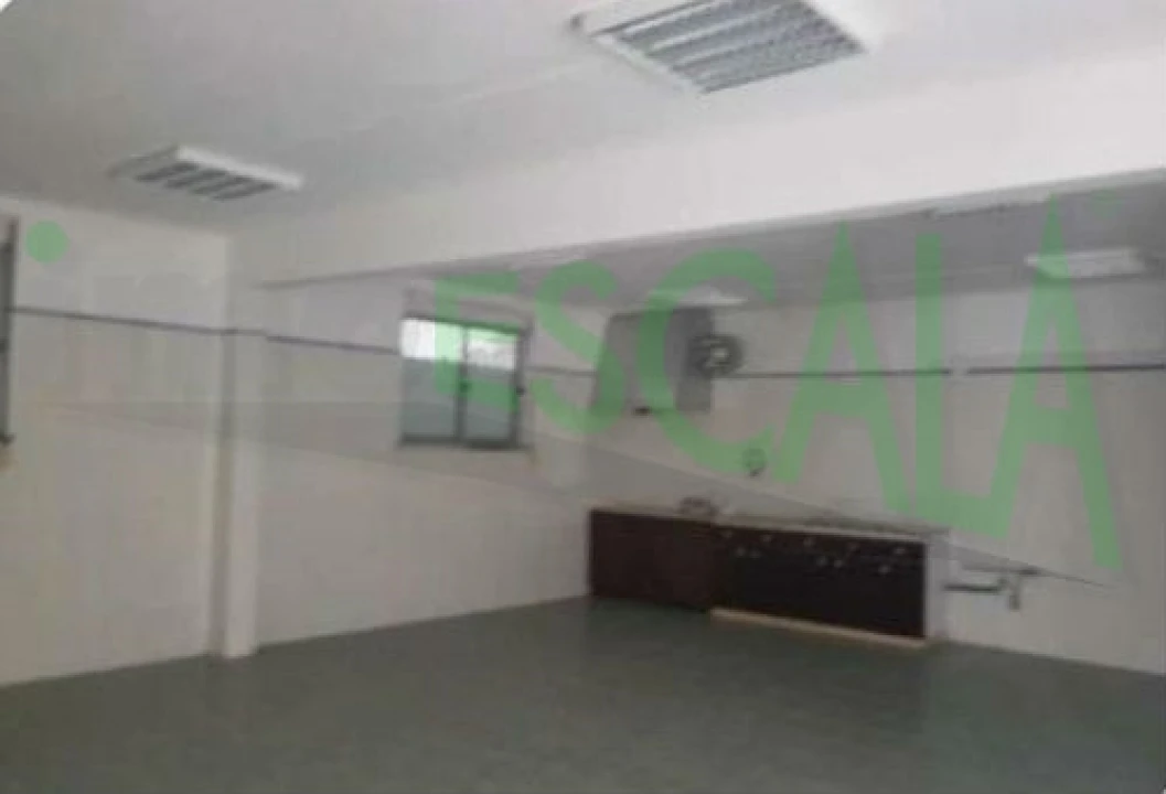 Armazém para Venda em Muge Foto 20