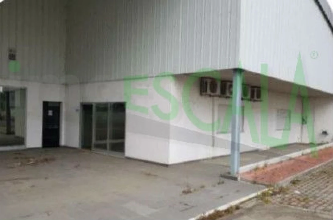 Armazém para Venda em Muge Foto 4