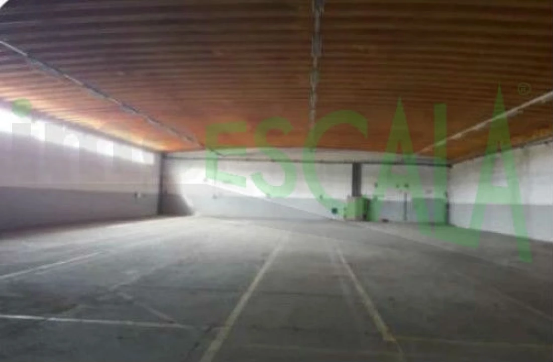 Armazém para Venda em Muge Foto 15