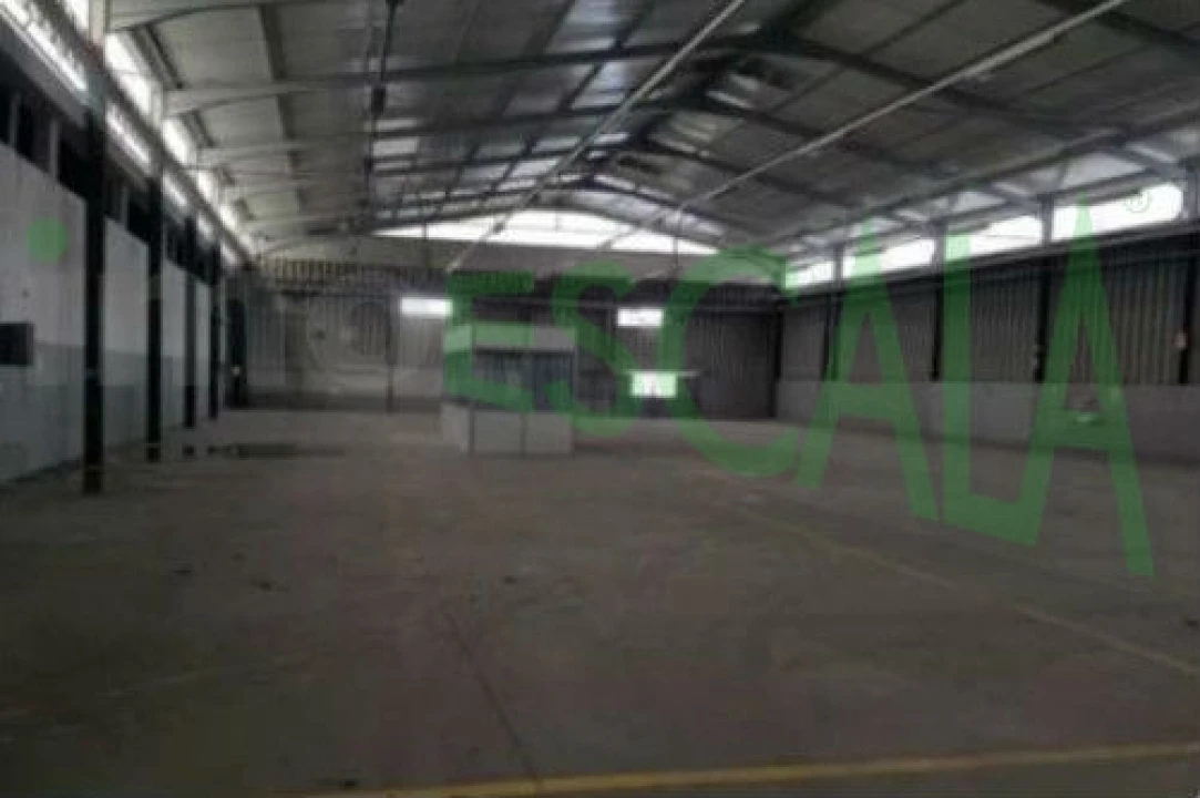 Armazém para Venda em Muge Foto 9