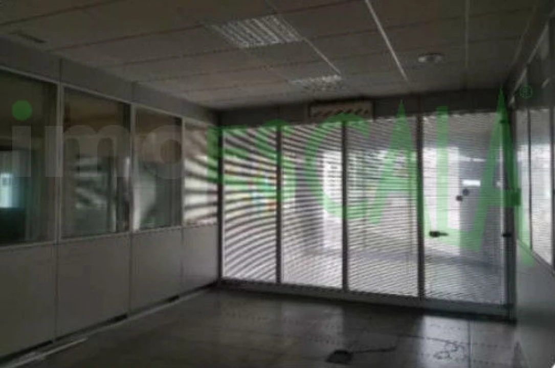 Armazém para Venda em Muge Foto 21