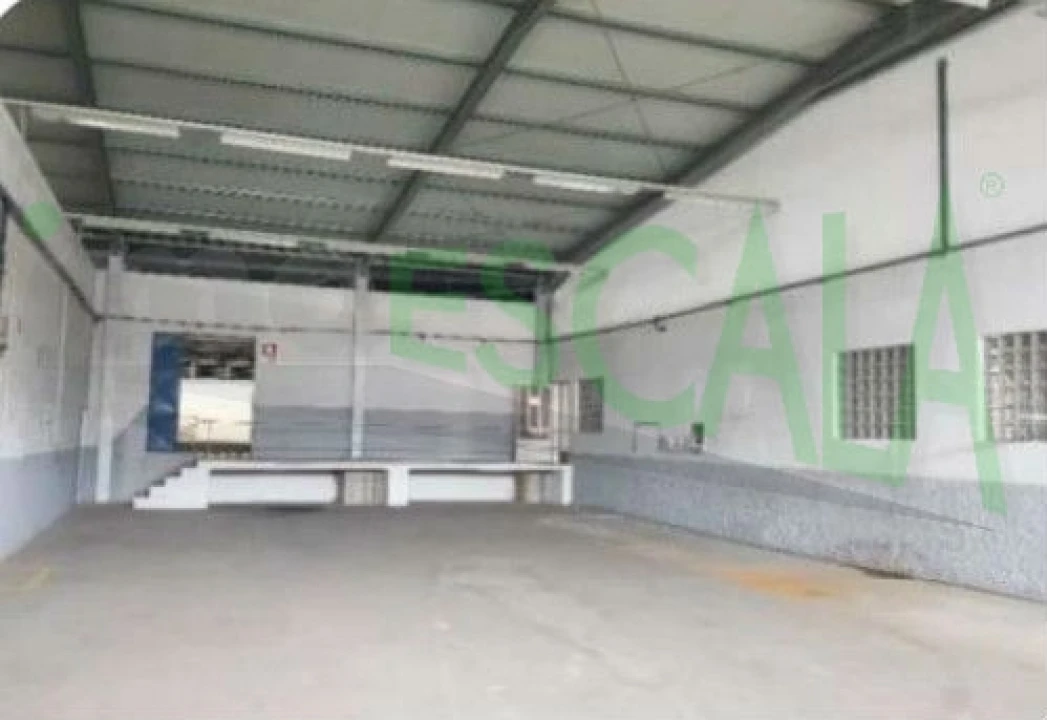 Armazém para Venda em Muge Foto 18