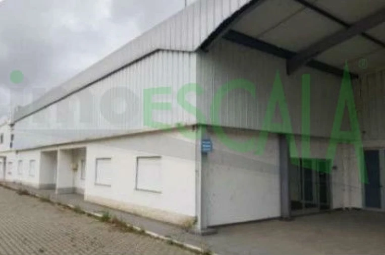 Armazém para Venda em Muge Foto 3