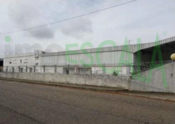 Armazém para Venda em Muge Foto 8