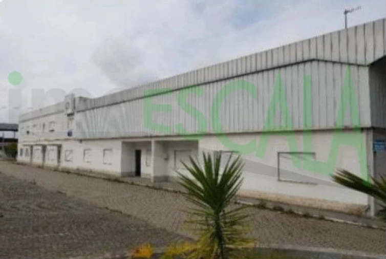 Armazém para Venda em Muge Foto 1
