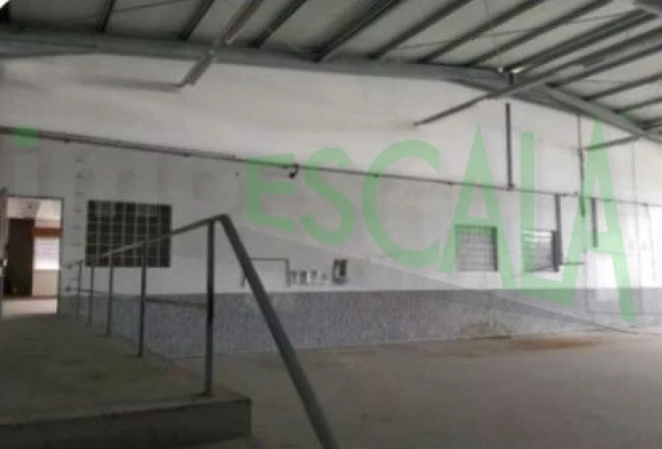 Armazém para Venda em Muge Foto 13