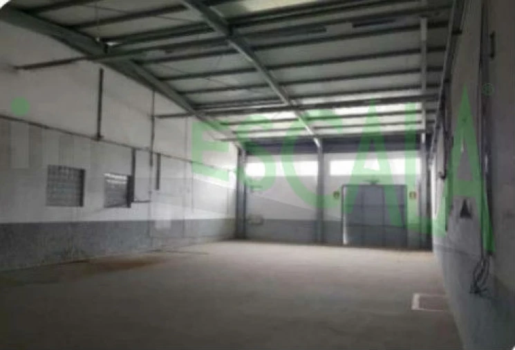 Armazém para Venda em Muge Foto 14