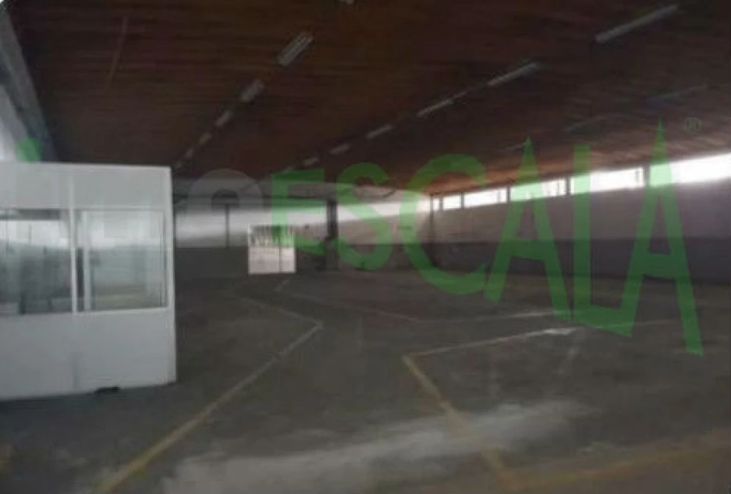 Armazém para Venda em Muge Foto 16