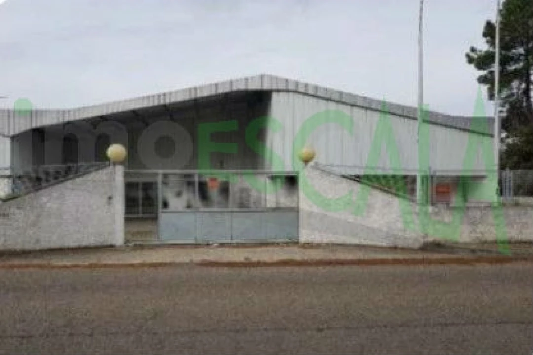 Armazém para Venda em Muge Foto 2