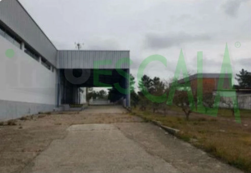 Armazém para Venda em Muge Foto 6