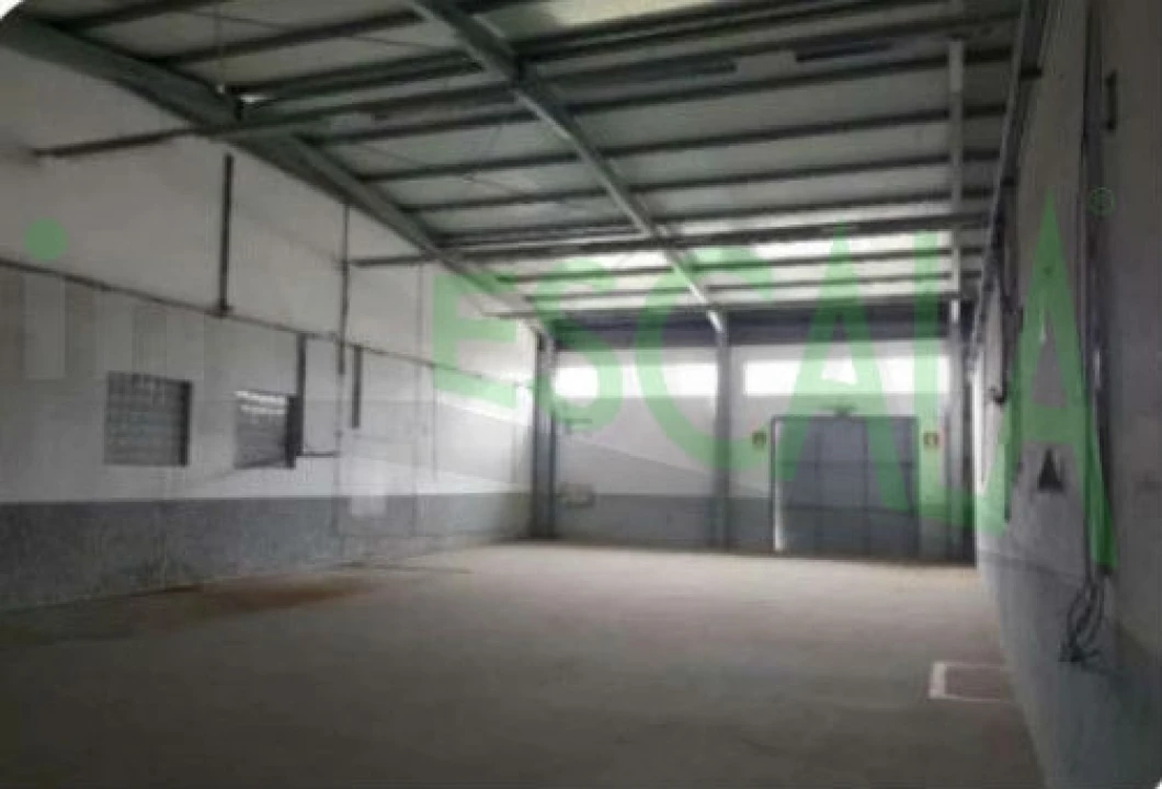 Armazém para Venda em Muge Foto 14