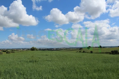 Terreno para Venda em Romeira e Várzea