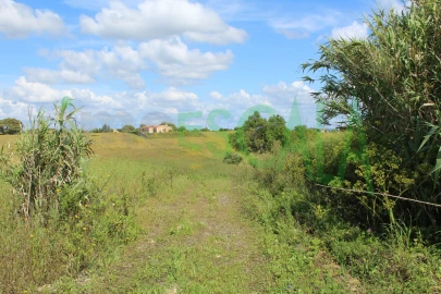 Terreno para Venda em Romeira e Várzea