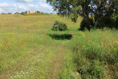 Terreno para Venda em Romeira e Várzea