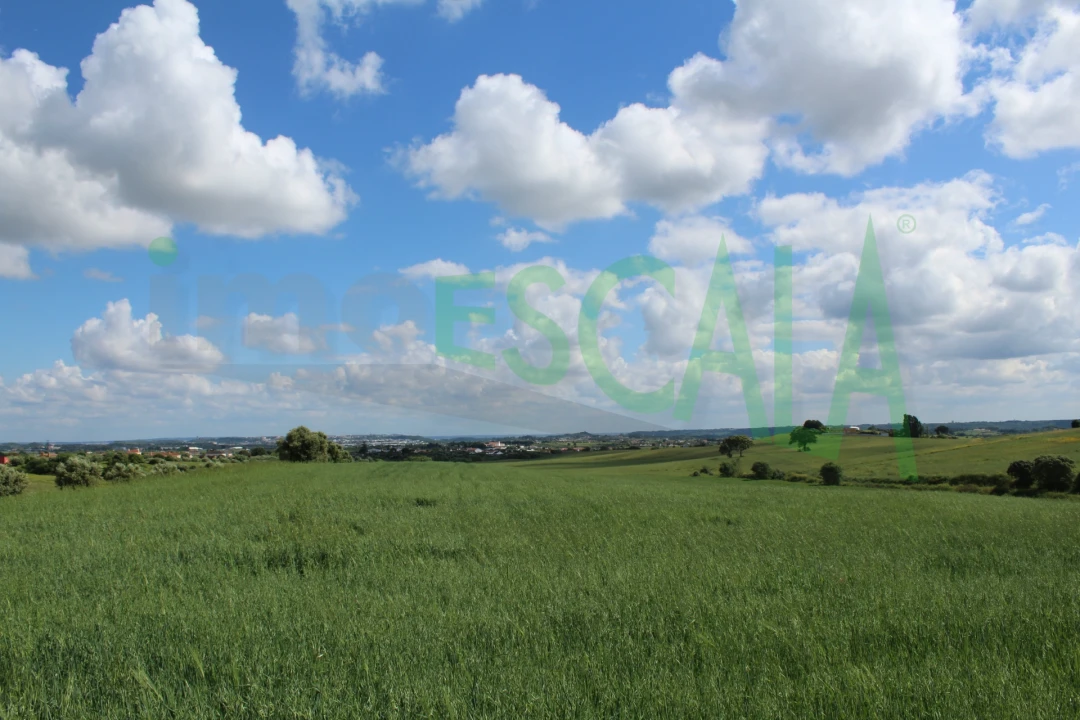 Terreno para Venda em Romeira e Várzea Foto 10